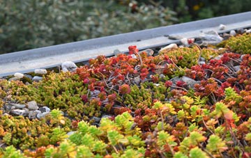 the cost of Duddingston green roof installation