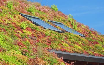 Duddingston living roof systems