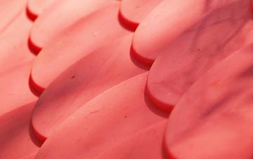 Duddingston plastic roof costs