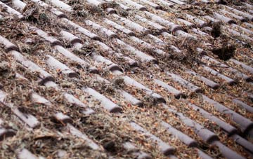 Duddingston roof cleaning companies