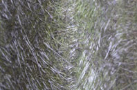 Duddingston fibreglass roof work