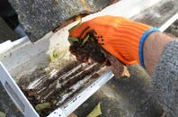 rated Duddingston gutter cleaning companies