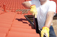 Duddingston roof cleaners