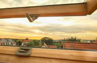 rated Duddingston roof window companies